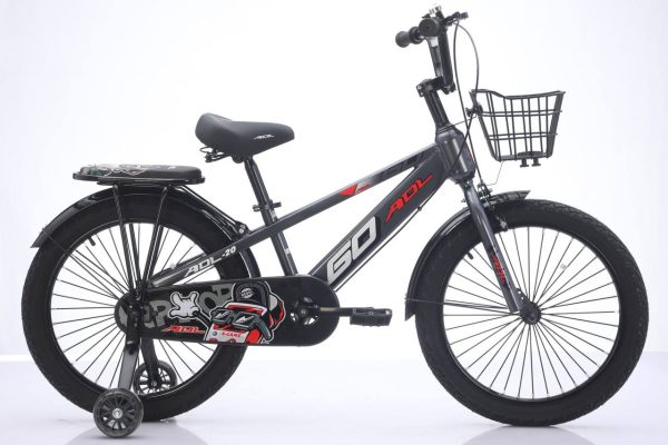 GO ADL Bike 20