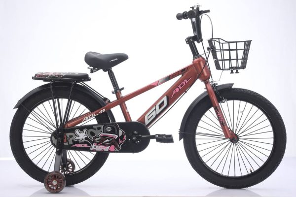 GO ADL Bike 20